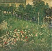 Vincent Van Gogh Daubigny's Garden (nn04) painting